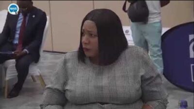 top insurance companies in zambi