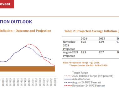 understanding-zambia-inflation-trends-causes-and-economic-impact-1