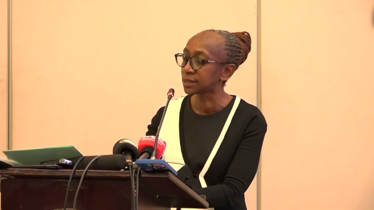 understanding zambias demographi